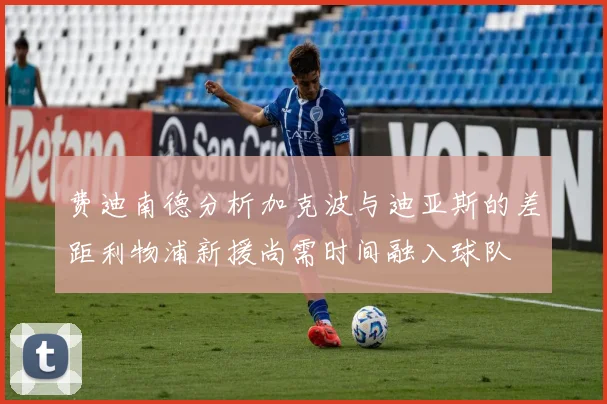 费迪南德分析加克波与迪亚斯的差距利物浦新援尚需时间融入球队