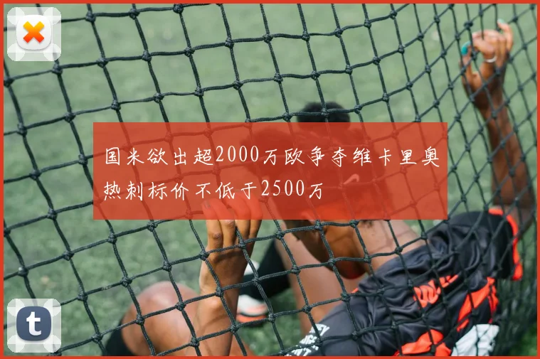 国米欲出超2000万欧争夺维卡里奥热刺标价不低于2500万