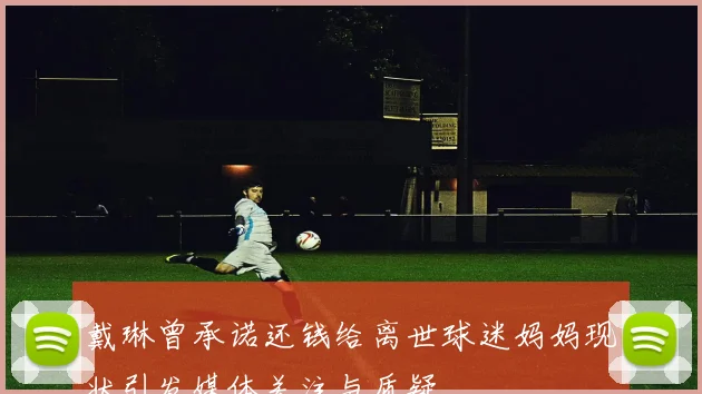 戴琳曾承诺还钱给离世球迷妈妈现状引发媒体关注与质疑