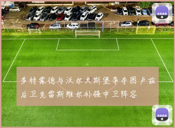 多特蒙德与沃尔夫斯堡争夺图卢兹后卫克雷斯维尔补强中卫阵容